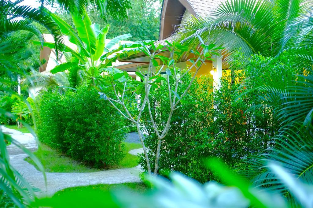 The Nature House Aonang Krabi Thailand Ao Nang
