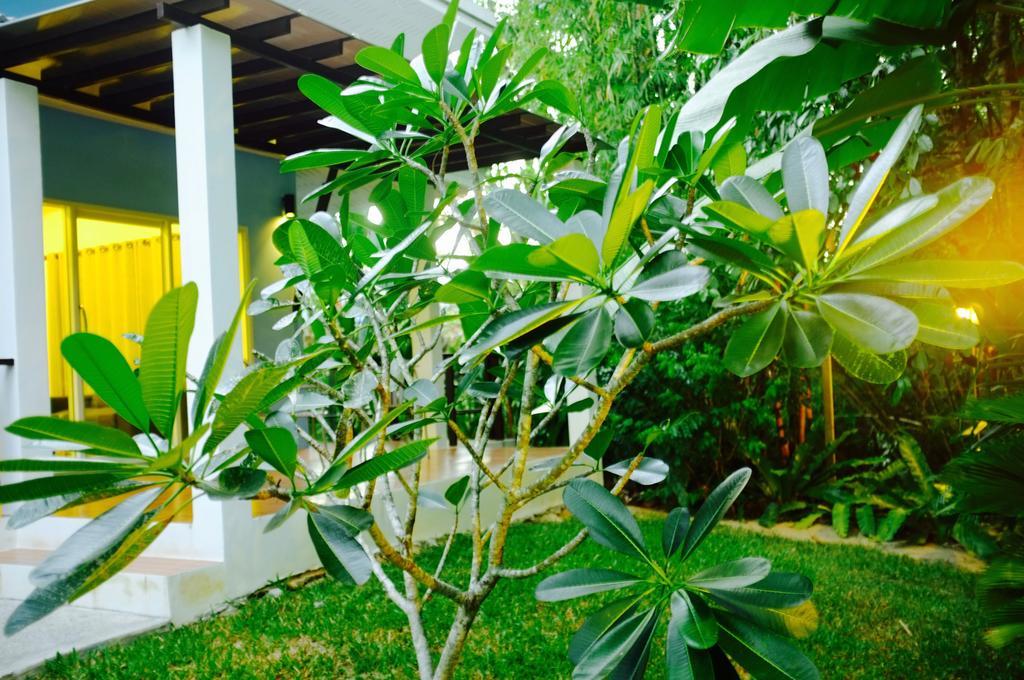 The Nature House Aonang Krabi Thailand Ao Nang