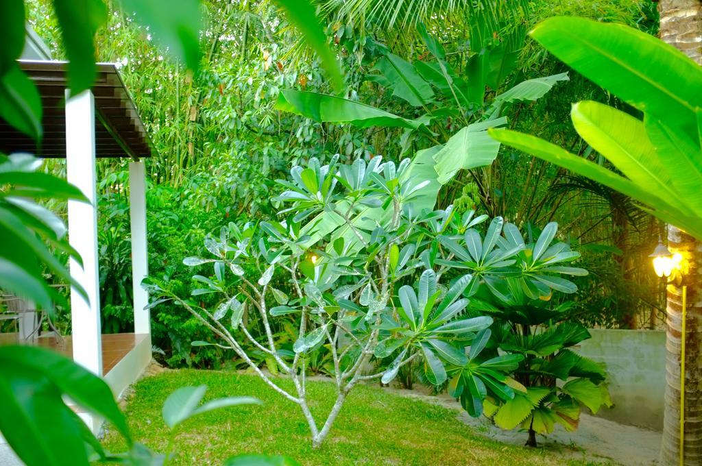 The Nature House Aonang Krabi Thailand