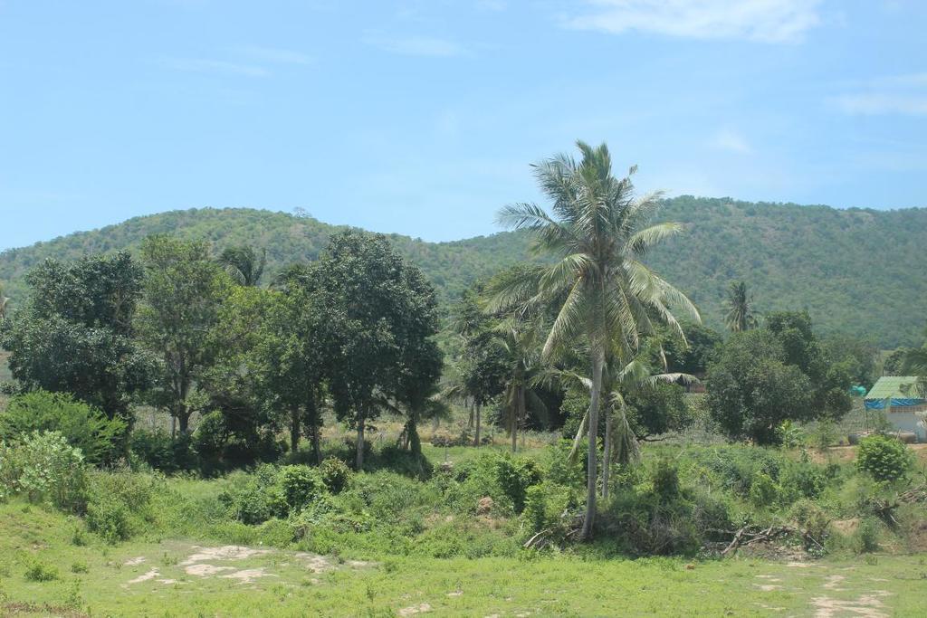 The Mansion 3* Pran Buri