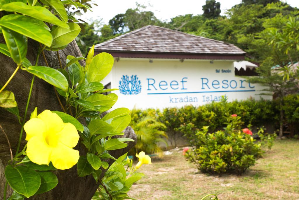Resort The Reef 3*
