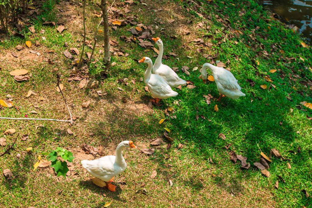 Brookside Valley Resort Rayong