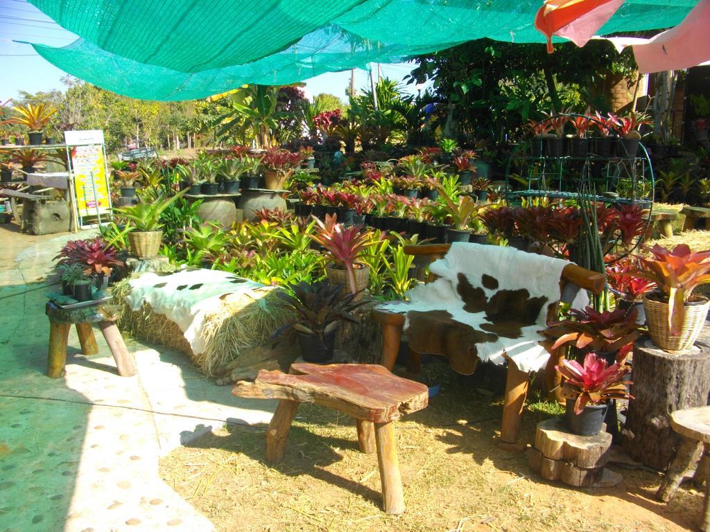 Indian View 2* Khao Kho