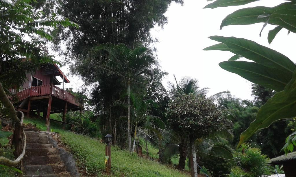 Forest 2* Samoeng