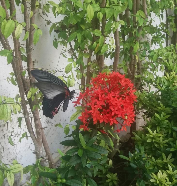 Apartment House Phuket *