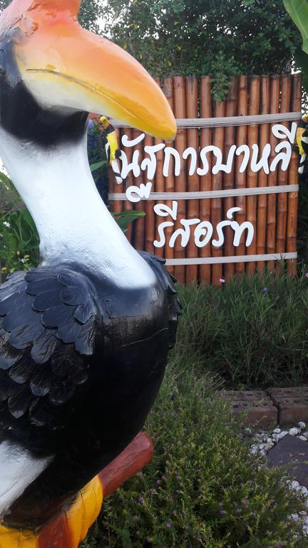 Nuttakarn Bali