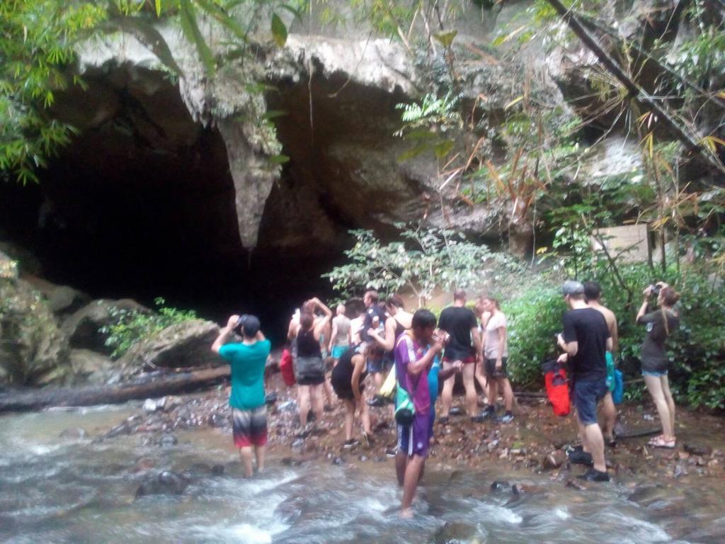 Holiday park Khao Sok Blue Mountain 4*