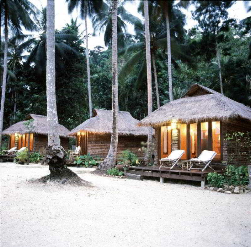 Coco 3*