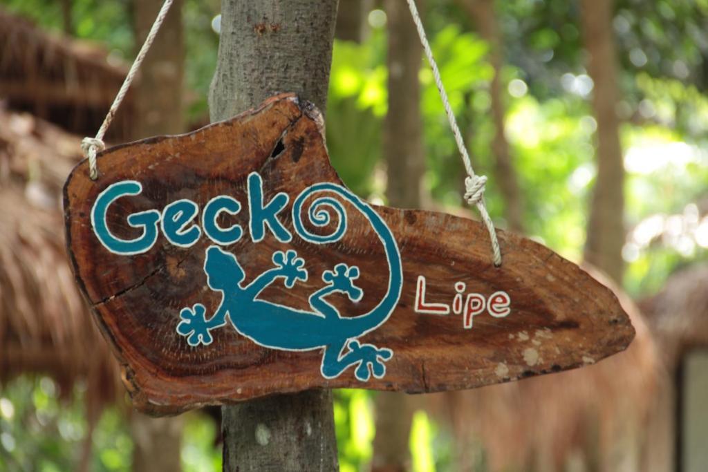 Gecko 3*