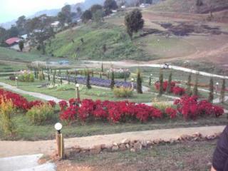 Hotel Phu Mok Dok Mai 3*