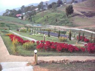 Phu Mok Dok Mai 3*