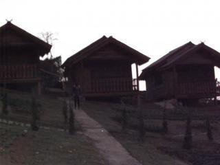 Phu Mok Dok Mai