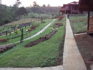 Phu Mok Dok Mai 3*