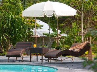 Dream Pool *