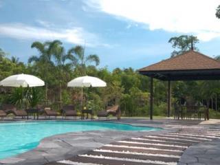 Dream Pool