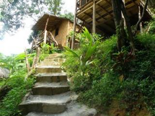 Hotel Banana Phi Phi Don