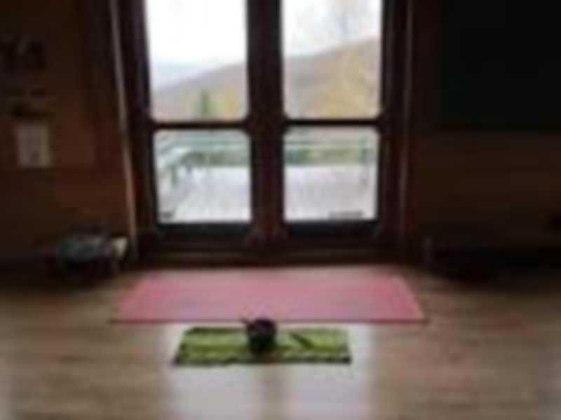 Vikasa Yoga Retreat Hotel