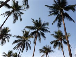 Oyo 75340 Klkl 3* Koh Chang