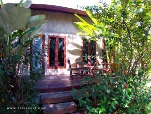 Tai Guest house San Pa Tong