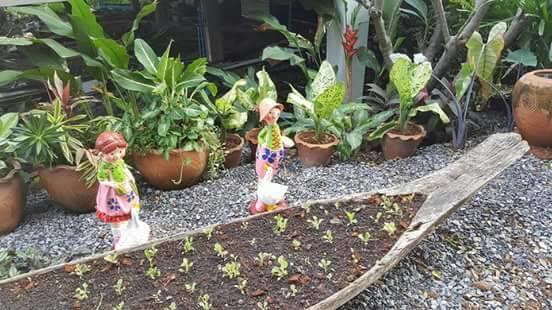 Baan Suan Geb Tawan Lopburi