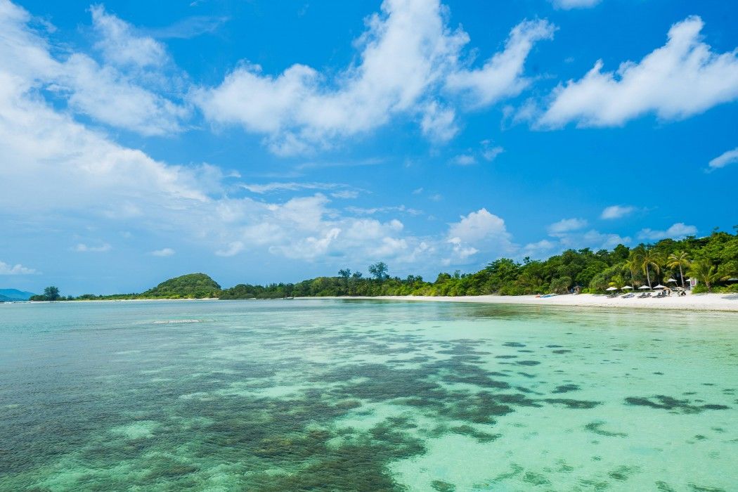 The Treasure Koh Madsum - Samui