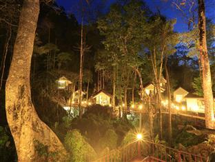 Rock And Tree House