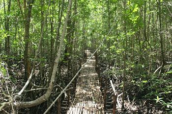 Amazon Ao Nang