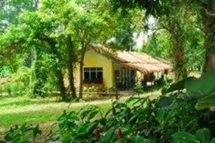 Lodge Country Nature