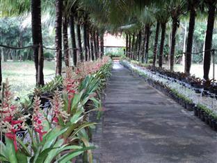 Resort Rai Sai Luang 3*