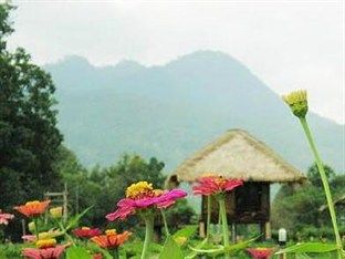 Good Morning Pai