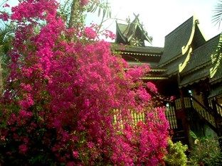 Lanna Saithong Hotel San Sai