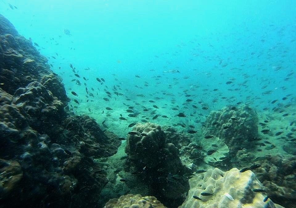 Private Island 3*
