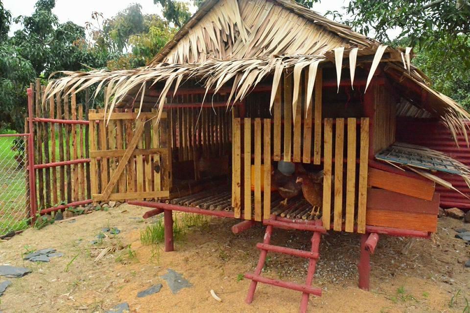 Baan Nork บ้านนอก Nong Nam Daeng