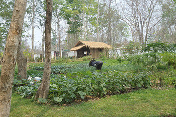 Resort Monoceros Mae Rim