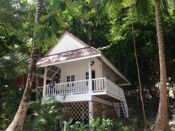 Hotel Ocean View Ko Pha Ngan