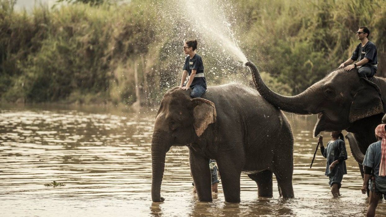 Four Seasons Tented Camp