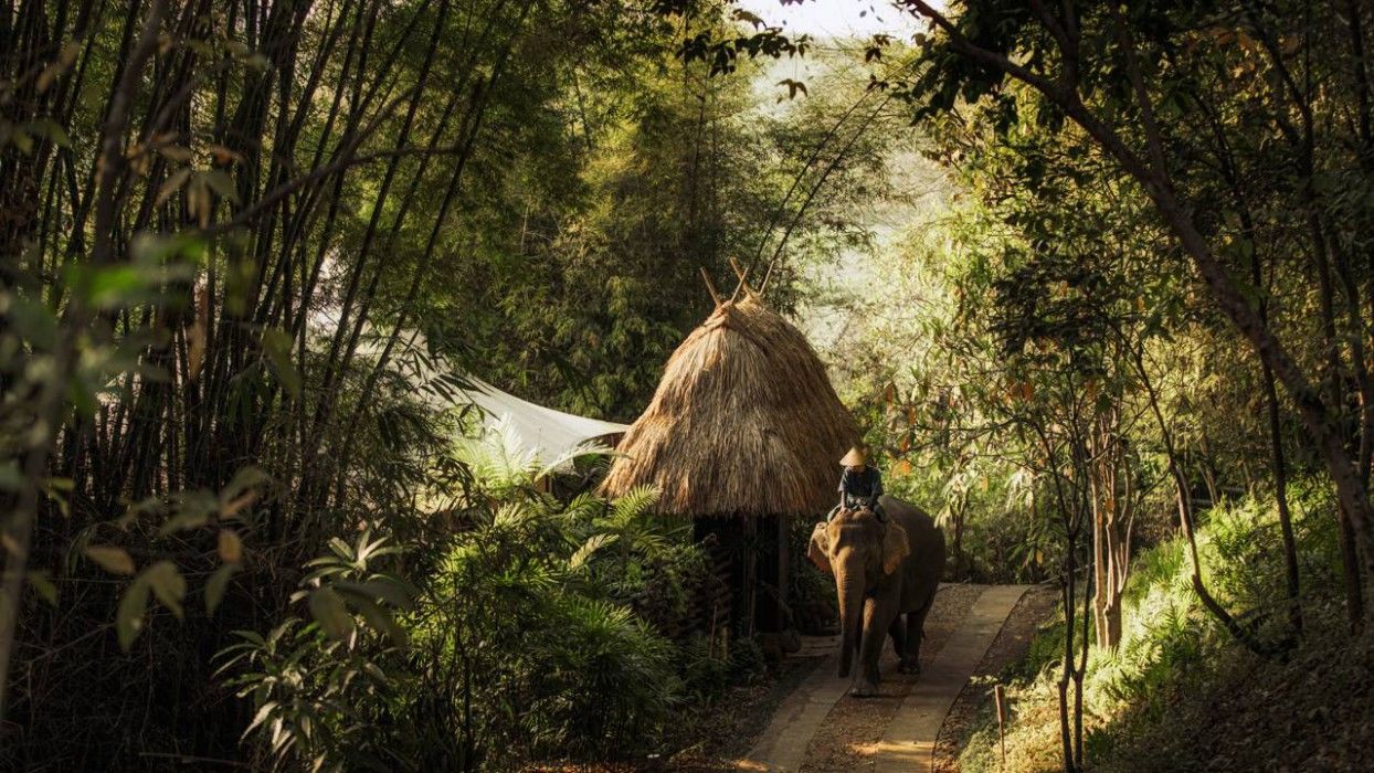 Four Seasons Tented Camp 5* Golden Triangle