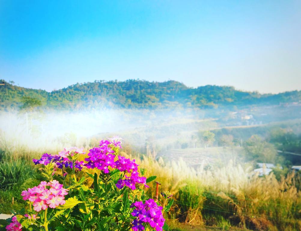 Bann Ton Kho Guest house