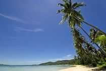 Hotel Fenix Beach Resort Samui 4*