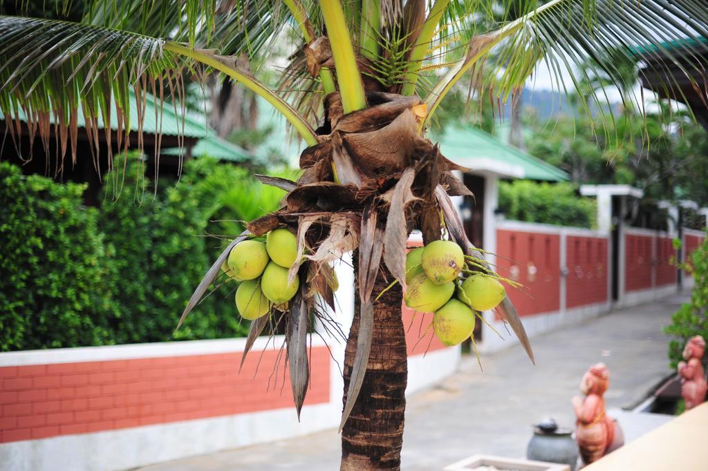 Hotel Coconut Lamai Beach (Koh Samui)