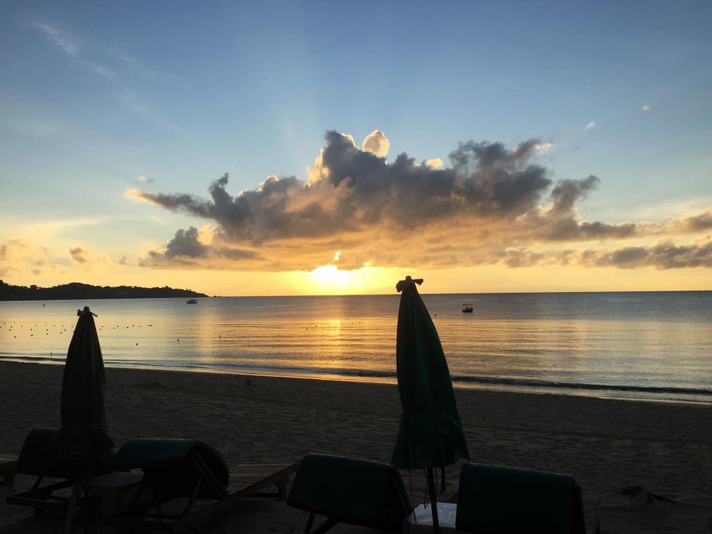 Coconut Lamai Beach (Koh Samui)