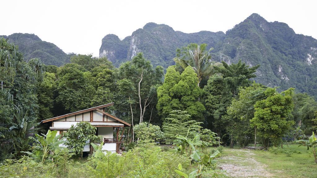 Guest house Khao Sok