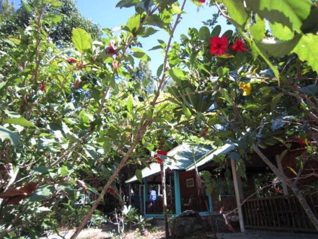 Apartment Phangan Natural Ko Pha Ngan