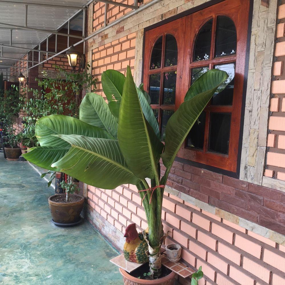 Phumthadarommanee Resort