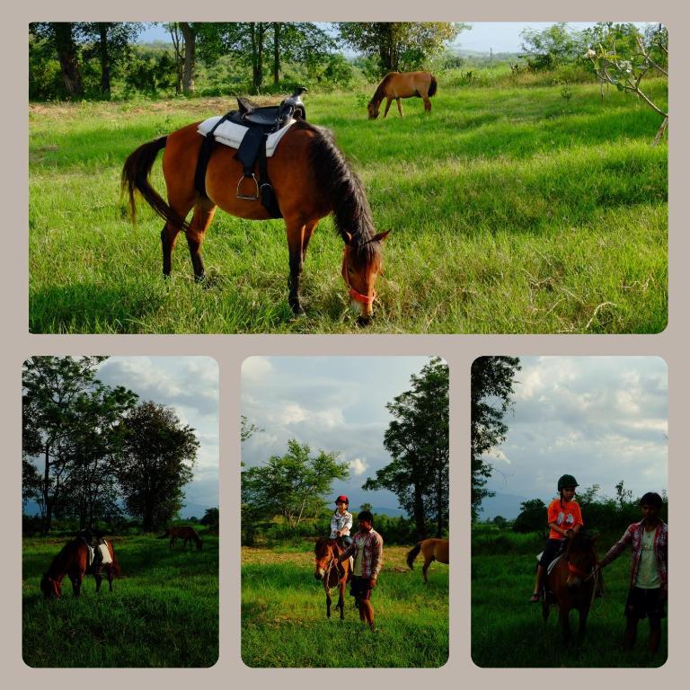 Phukumhom Khao Yai 4* Wangkata