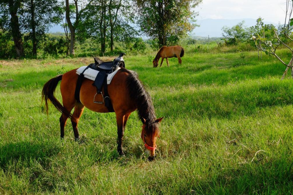 Phukumhom Khao Yai Resort