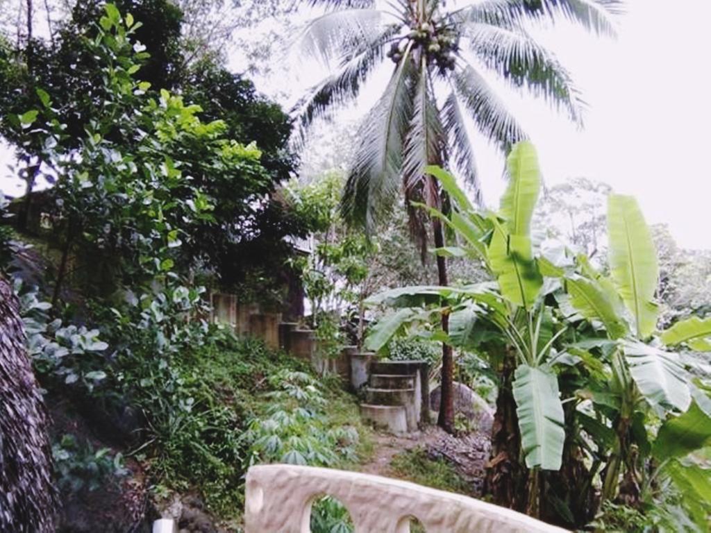 Resort Thansadet Farm *