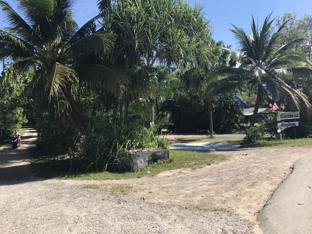 Cashew Nut Bungalows Guest house