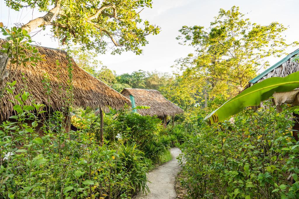 Rabbit Koh Phayam