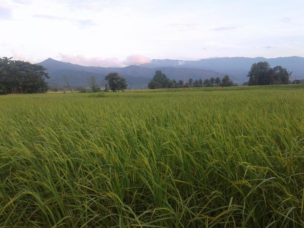 Phu Resort